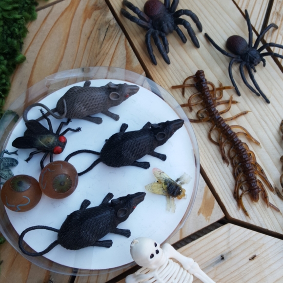 Bug Package - Picture 2 of 2